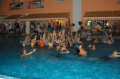 Enlarge photo 60