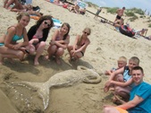 Enlarge photo 13