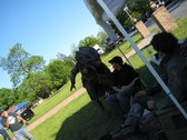 Enlarge photo 31