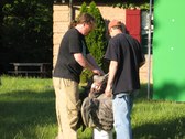 Enlarge photo 36