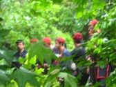 Enlarge photo 12