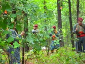 Enlarge photo 23