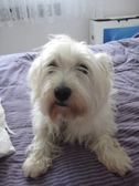 Chloe