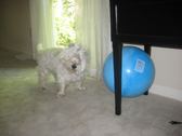 Enlarge photo 10