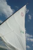 Sailing with Tim and Logan