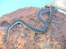 2005 88% Diamond Male