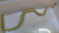 2010 Jungle Jaguar Female $500