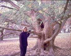 Asia Tree Preservation History