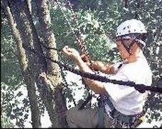 Tree Support Systems