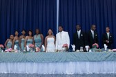Enlarge photo 459