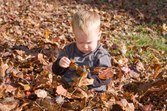Enlarge photo 27