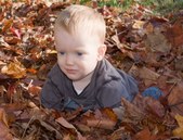 Enlarge photo 29
