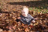 Enlarge photo 30