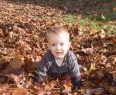 Enlarge photo 31
