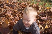 Enlarge photo 32