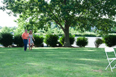 Enlarge photo 455