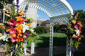 Enlarge photo 110