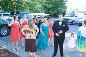 Enlarge photo 261