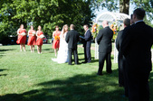 Enlarge photo 295
