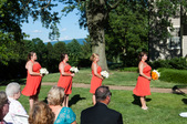 Enlarge photo 311
