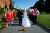 Enlarge photo 393