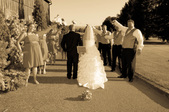 Enlarge photo 399