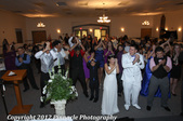 Enlarge photo 227