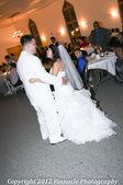 Enlarge photo 152
