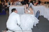 Enlarge photo 178