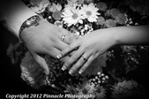 Enlarge photo 220