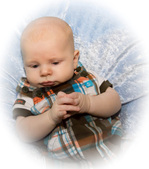 Enlarge photo 183
