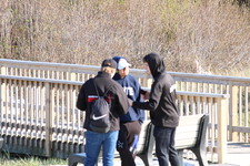 Enlarge photo 54