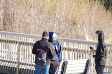 Enlarge photo 55