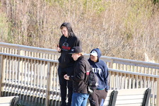 Enlarge photo 56