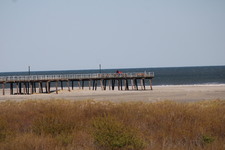 Enlarge photo 59