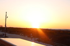 Enlarge photo 216
