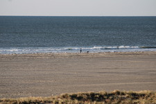Enlarge photo 225
