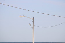 Enlarge photo 228