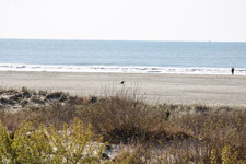 Enlarge photo 229