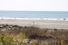 Enlarge photo 230