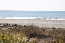 Enlarge photo 231