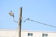 Enlarge photo 233