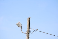 Enlarge photo 234