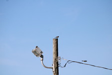 Enlarge photo 236
