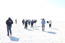 Enlarge photo 239