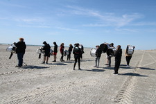 Enlarge photo 240