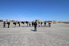 Enlarge photo 242
