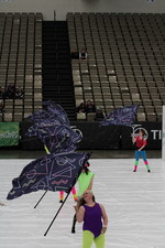 Enlarge photo 337