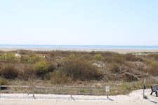 Enlarge photo 381