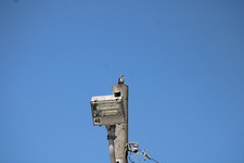 Enlarge photo 399